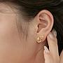 ARETES ALAS DE MARIPOSAS DORADAS